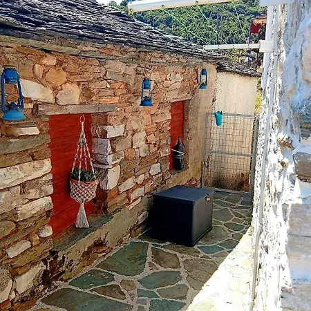 Tsonos فيلة